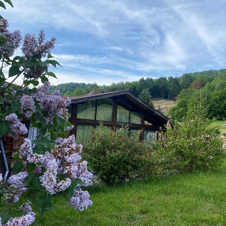 Cabana Vanatorului 8 Sohodol  Екстериор снимка