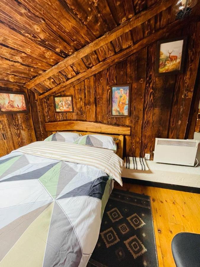 Cabana Vanatorului 8 Sohodol  Екстериор снимка