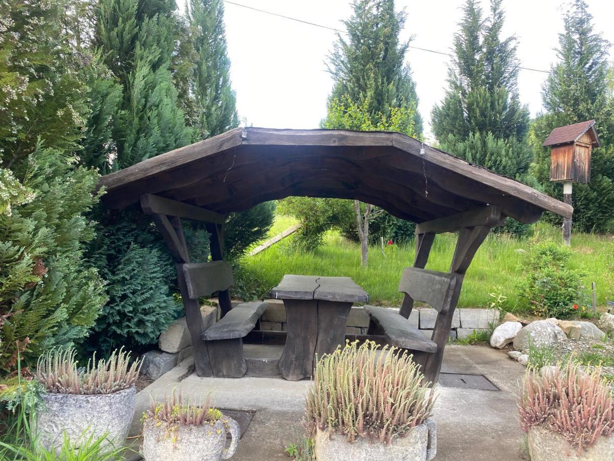 Cabana Vanatorului 8 Sohodol  Екстериор снимка